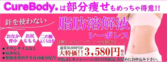 シーボレス脂肪溶解ジェル